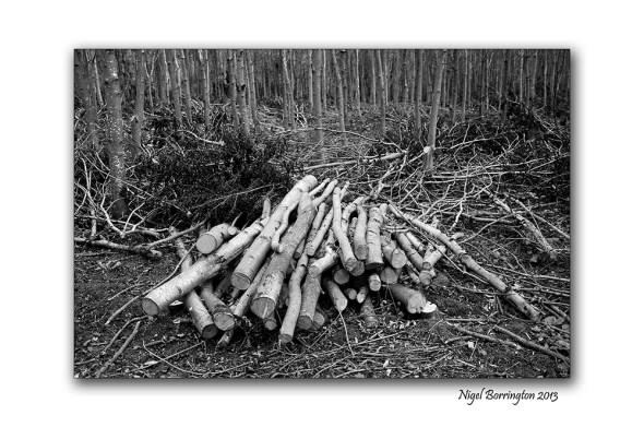 KIlkenny landscape photography 04