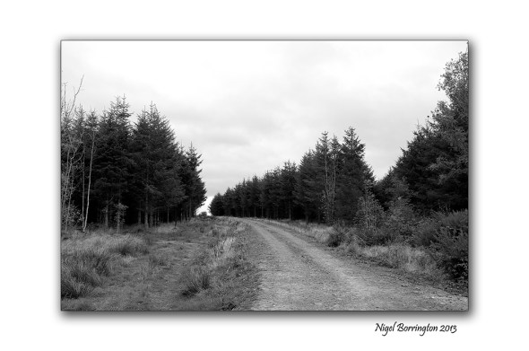 KIlkenny landscape photography 08