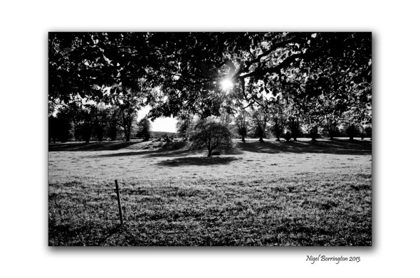 KIlkenny landscape photography woodstock 6