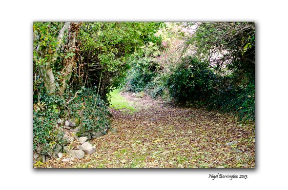 Knockroe pasage tomb 8