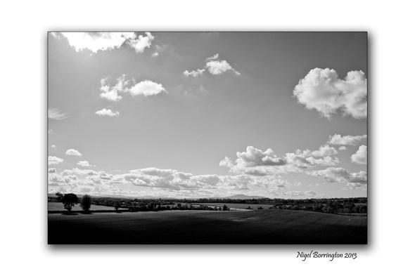 My land Thomas Davis 1