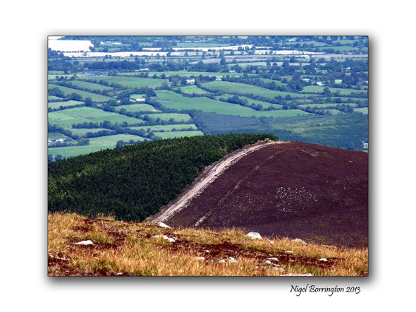 Slievenamon views 2