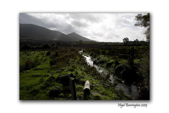 Sunday evening by the gate