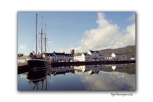 Artic Pengiun Inveraray