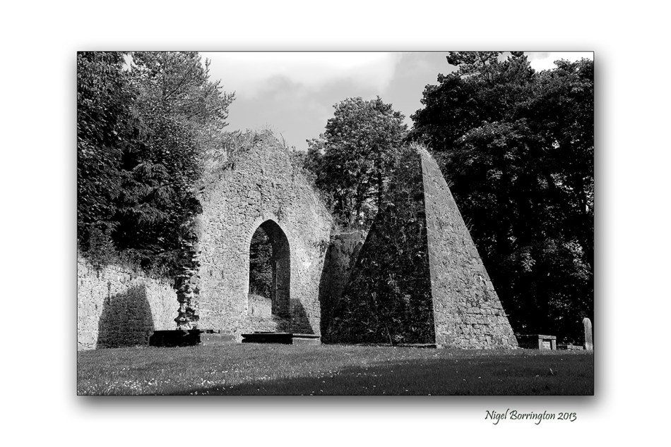 Kilcooley Abbey 3