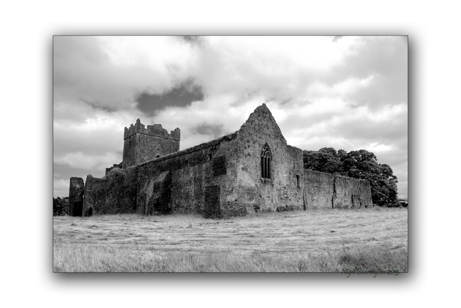 Kilcooley Abbey 4