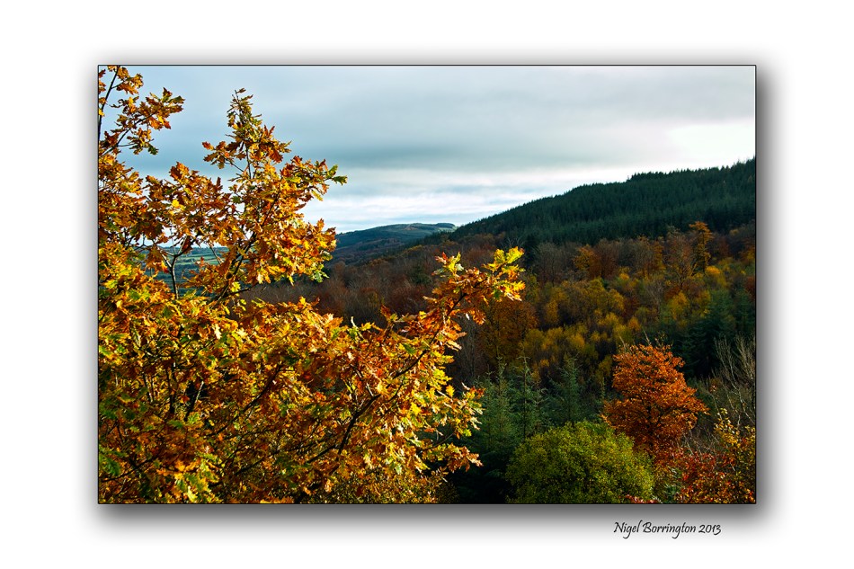 KIlkenny Autumn colours 1