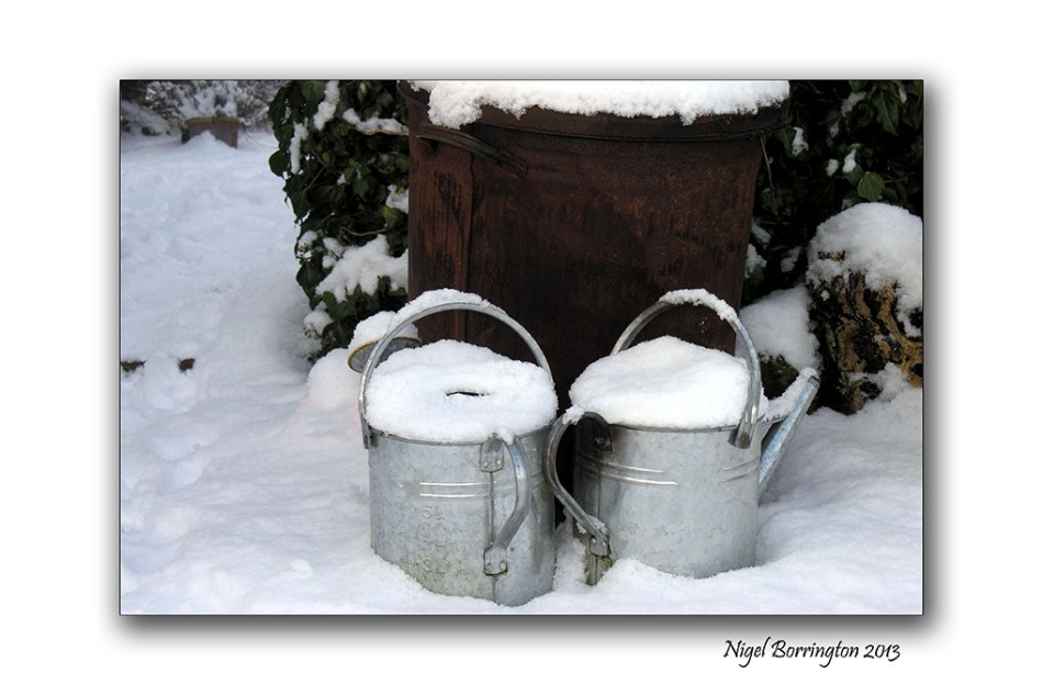 KIlkenny Autumn colours 2