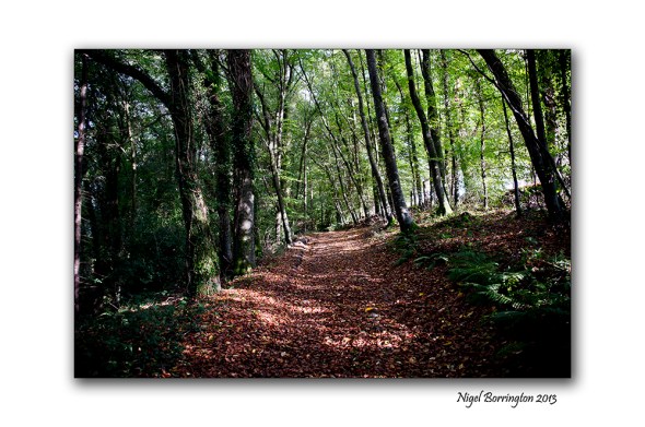 Viewing tower Inistioge 1