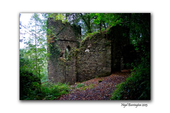 Viewing tower Inistioge 2