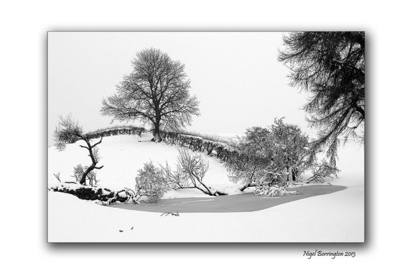 A winters field in the snow 1