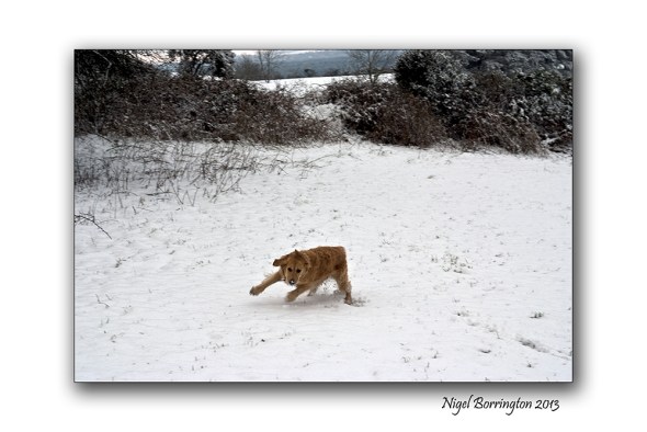 Memories of a snowy christmas 1