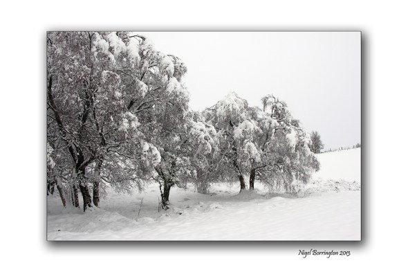 Memories of a winters day 7