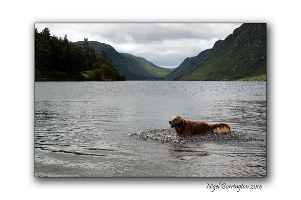 Glenveagh National park 6