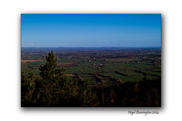 A Morning walk up the hill 2