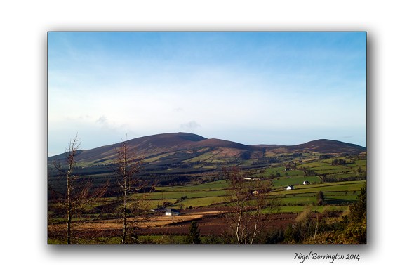 A Morning walk up the hill 6