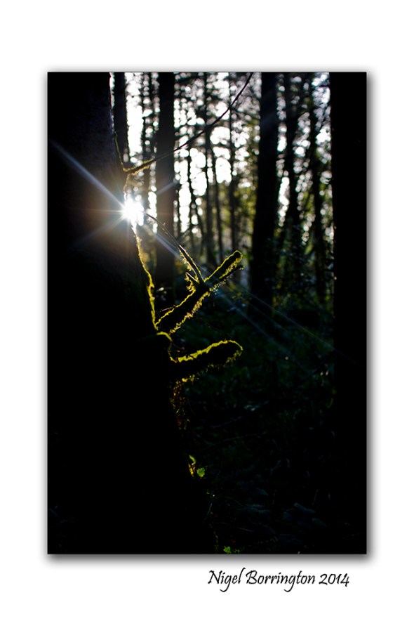 Finding the light 04