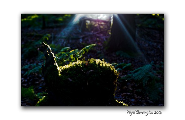 Finding the light 05