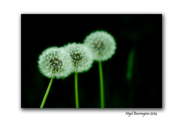 Images of Warmer days 9