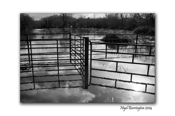 River Barrow KIlkenny in flood  Feb 2014 5