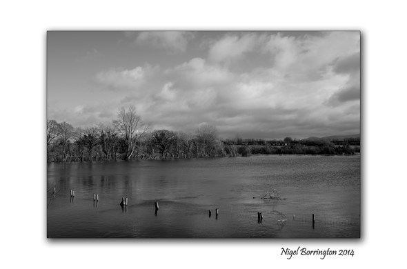 River Barrow KIlkenny in flood  Feb 2014 6
