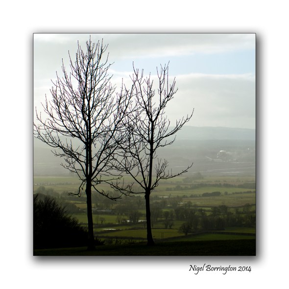 Square format in the landscape 1