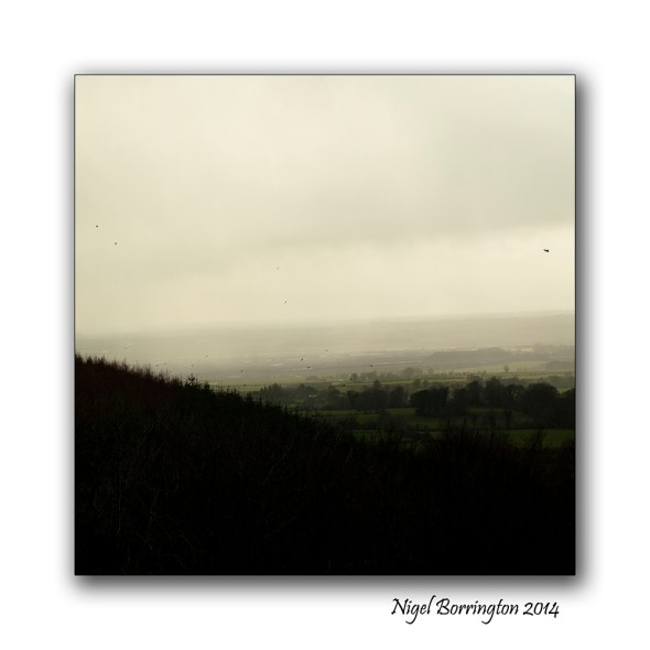 Square format in the landscape 2