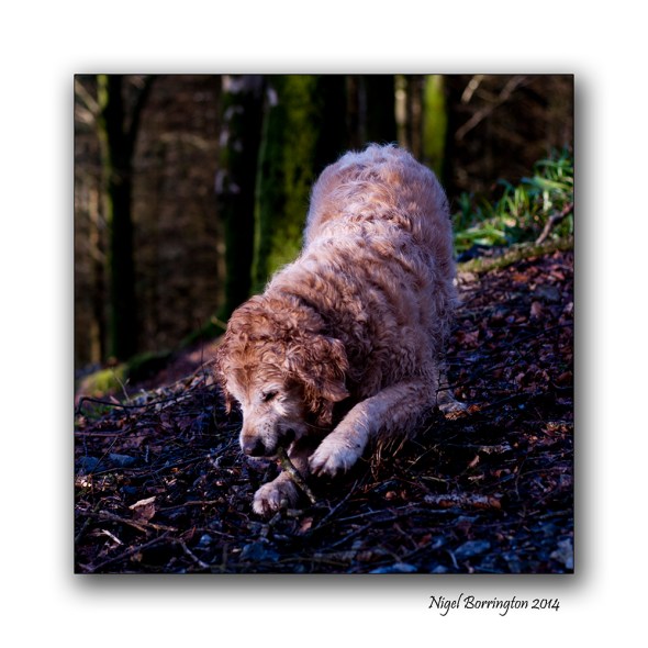 Square format in the landscape 6