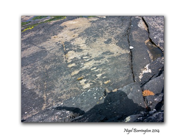 The oldest footprints in the world 3