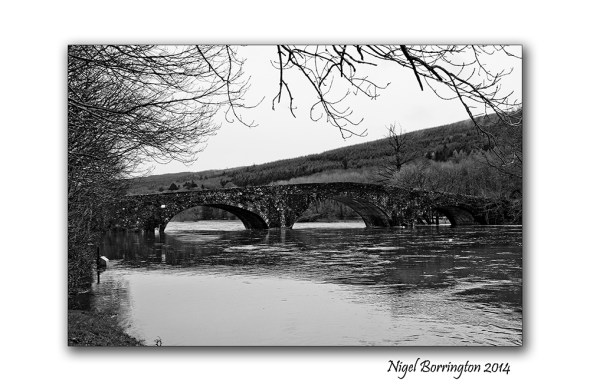 When the river floods 3