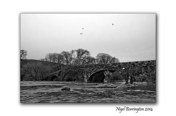 When the river floods 5