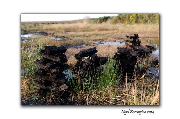 Irish bogs 1