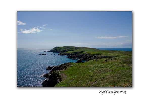 saltees islands 002