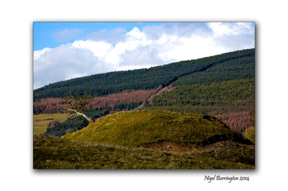 slievenamon Motte 3