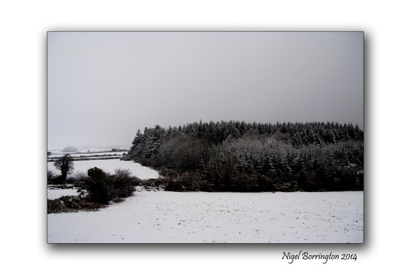 Stopping by the woods on a snowy evening 2