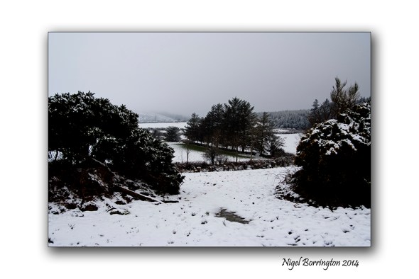 Stopping by the woods on a snowy evening 4