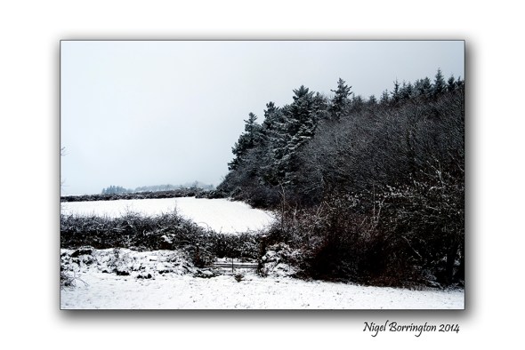 Stopping by the woods on a snowy evening 5