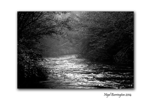 The Path by the Misty River 1