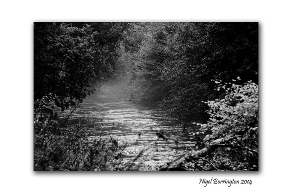The Path by the Misty River 2