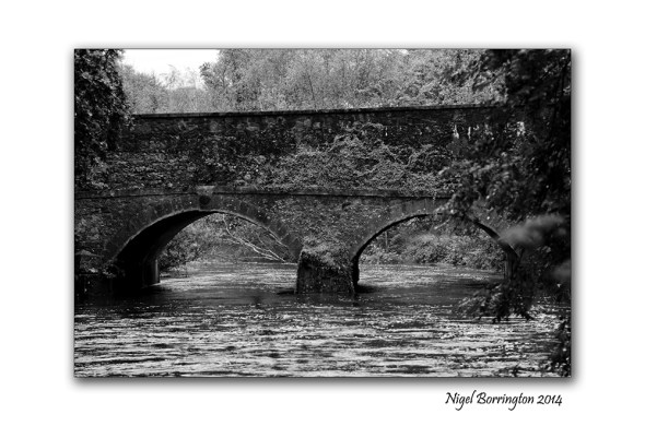The Path by the Misty River 4