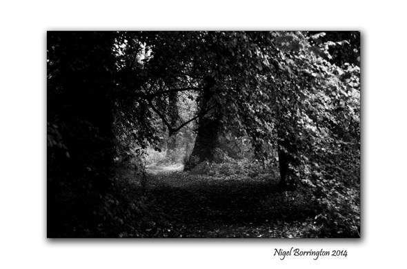 The Path by the Misty River 6