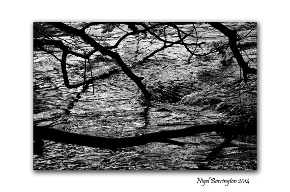 The Path by the Misty River 8