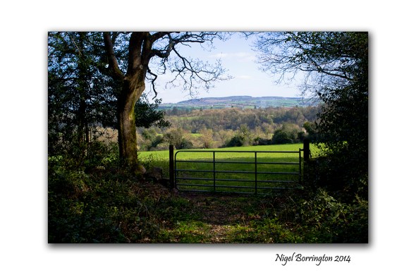 Easter Saturday in KIlkenny 04