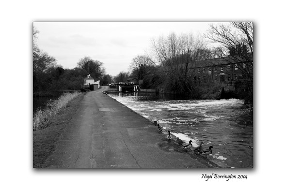 Grand union Canal harefield 06