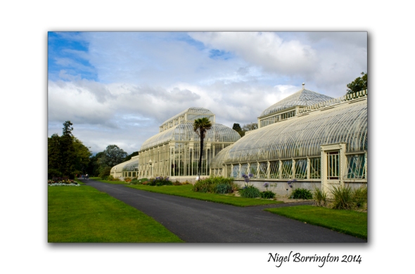 Dublin National Botanic Gardens 2