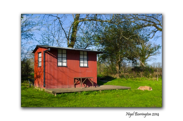 Hut beside the river suir 1