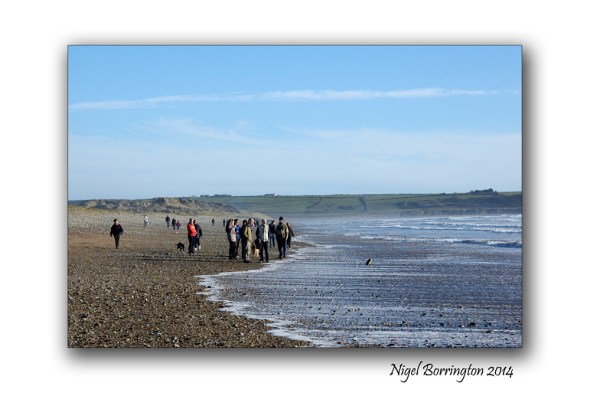 A beach walk at tramor waterford