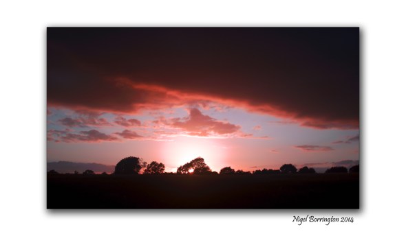 Along the river after the rain 4