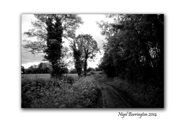 Callan Cherryfields Graveyard _0006