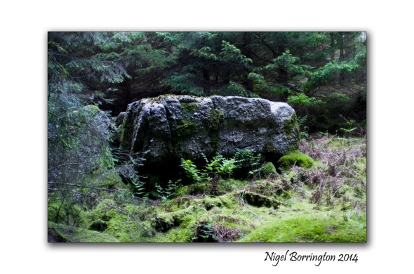 Grave and cap stone 1